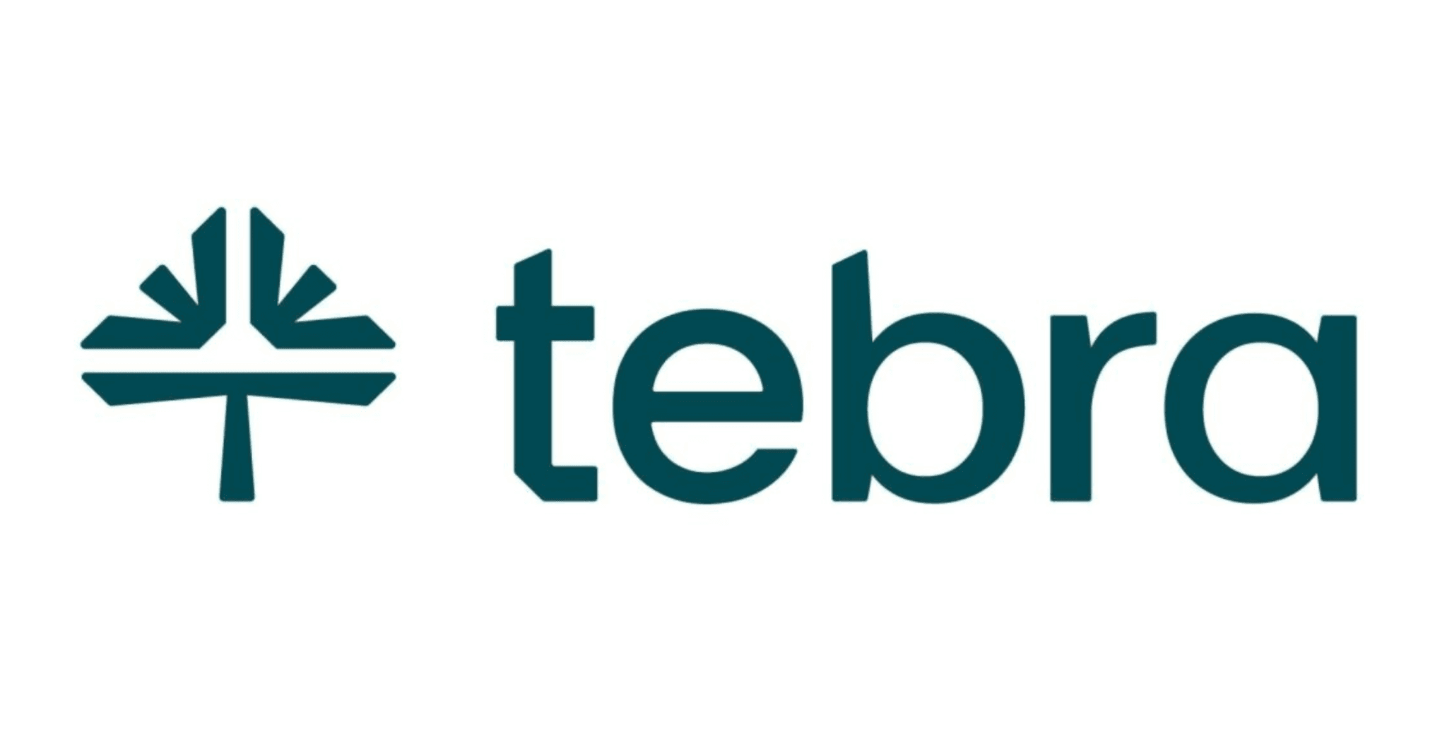 Tebra logo
